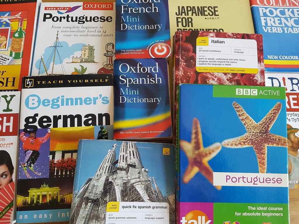 Tipos de tradutores para viagem
