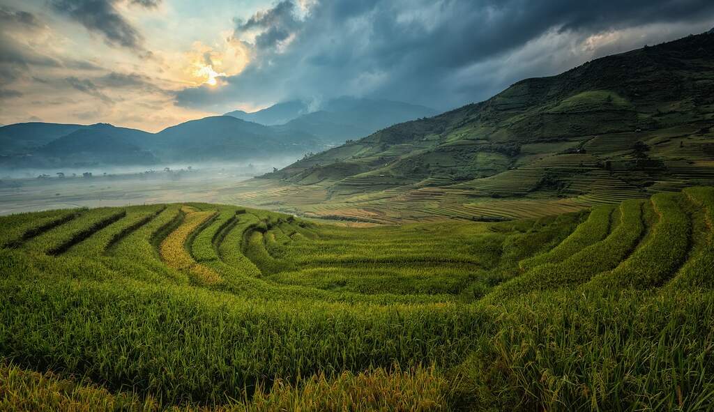 paisagem rural