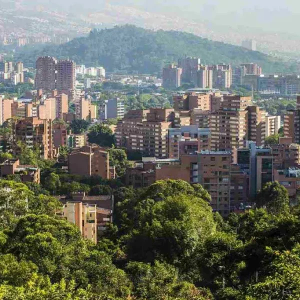 Uma paisagem urbana com edifícios altos em meio a uma vegetação exuberante, com uma montanha ao fundo.