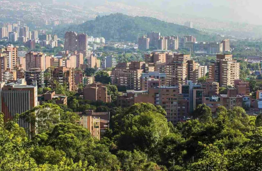 Uma paisagem urbana com edifícios altos em meio a uma vegetação exuberante, com uma montanha ao fundo.