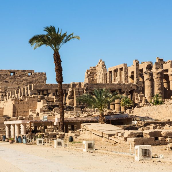 Vista de um templo antigo e suas ruínas, com paredes de pedra e colunas altas sob um céu azul claro. Uma palmeira alta se eleva no centro, e algumas palmeiras menores são visíveis entre as ruínas. O chão é de terra batida com algumas lajes de pedra, e há algumas pequenas estruturas retangulares brancas e caixas no primeiro plano.