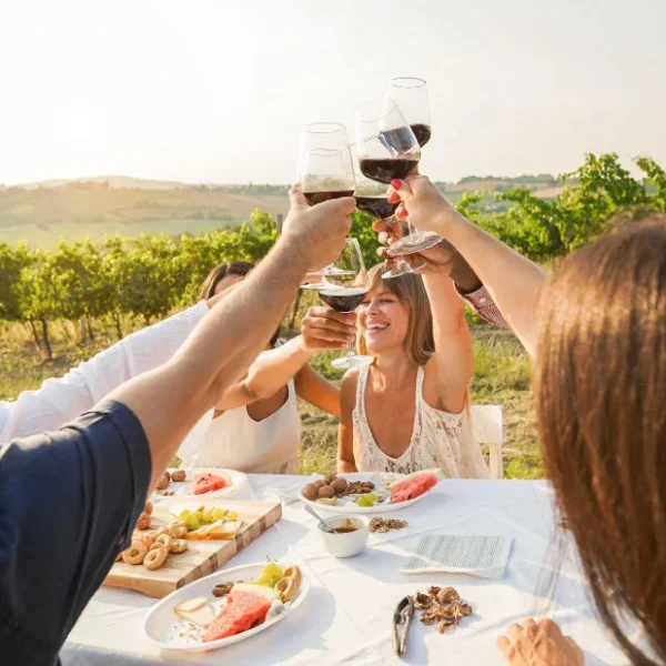 Um grupo de cinco amigos, quatro mulheres e um homem, brindando com taças de vinho tinto em uma mesa de jantar ao ar livre. Eles estão sorrindo e celebrando em um dia ensolarado, com um vinhedo verde exuberante e colinas ao fundo. A mesa está posta com pratos de comida, incluindo frutas, queijo e nozes. A cena evoca um sentimento de alegria e convívio
